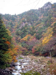 三段峡の紅葉