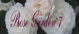 rosegarden7.jpg