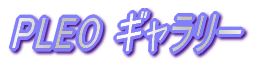 PLEO �M�������[