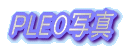 PLEO�ʐ^