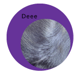 Deee