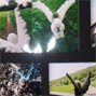 �eun forgetable�f